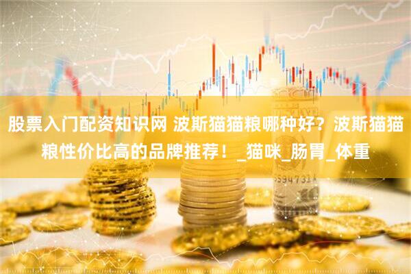 股票入门配资知识网 波斯猫猫粮哪种好？波斯猫猫粮性价比高的品牌推荐！_猫咪_肠胃_体重