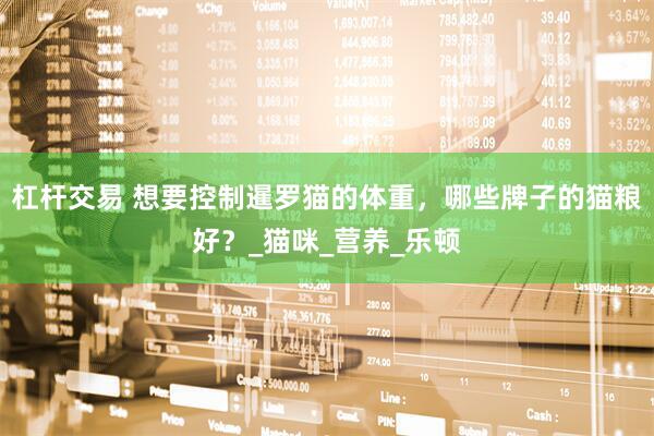 杠杆交易 想要控制暹罗猫的体重，哪些牌子的猫粮好？_猫咪_营养_乐顿