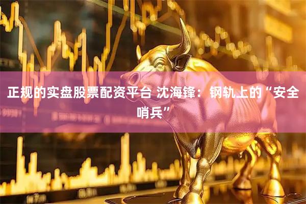 正规的实盘股票配资平台 沈海锋:钢轨上的“安全哨兵”