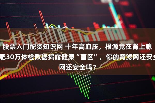 股票入门配资知识网 十年高血压，根源竟在肾上腺？合肥30万体检数据揭露健康“盲区”，你的肾滤网还安全吗？