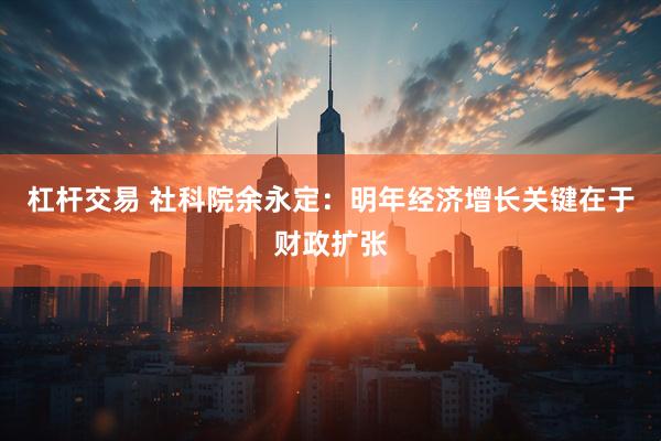 杠杆交易 社科院余永定：明年经济增长关键在于财政扩张