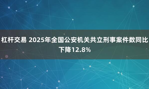 杠杆交易 2025年全国公安机关共立刑事案件数同比下降12.8%